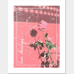 Love Develops Rose Design Posters and Art